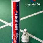 LM-20