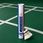 LM-PRACTICE - Image 3