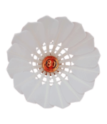 LM-80 - Image 2
