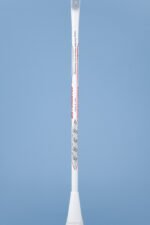 STARTING LINE - Image 4