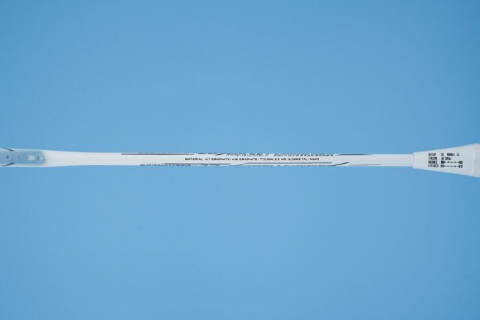 BODYGUARD 2D - Image 4