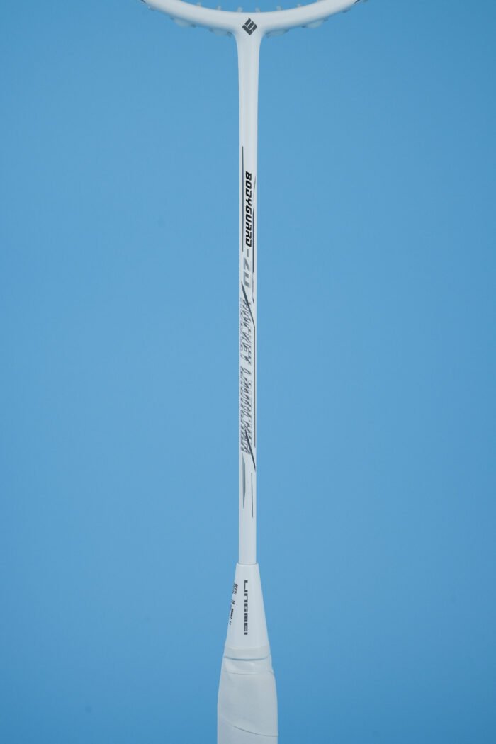 BODYGUARD 2D - Image 3