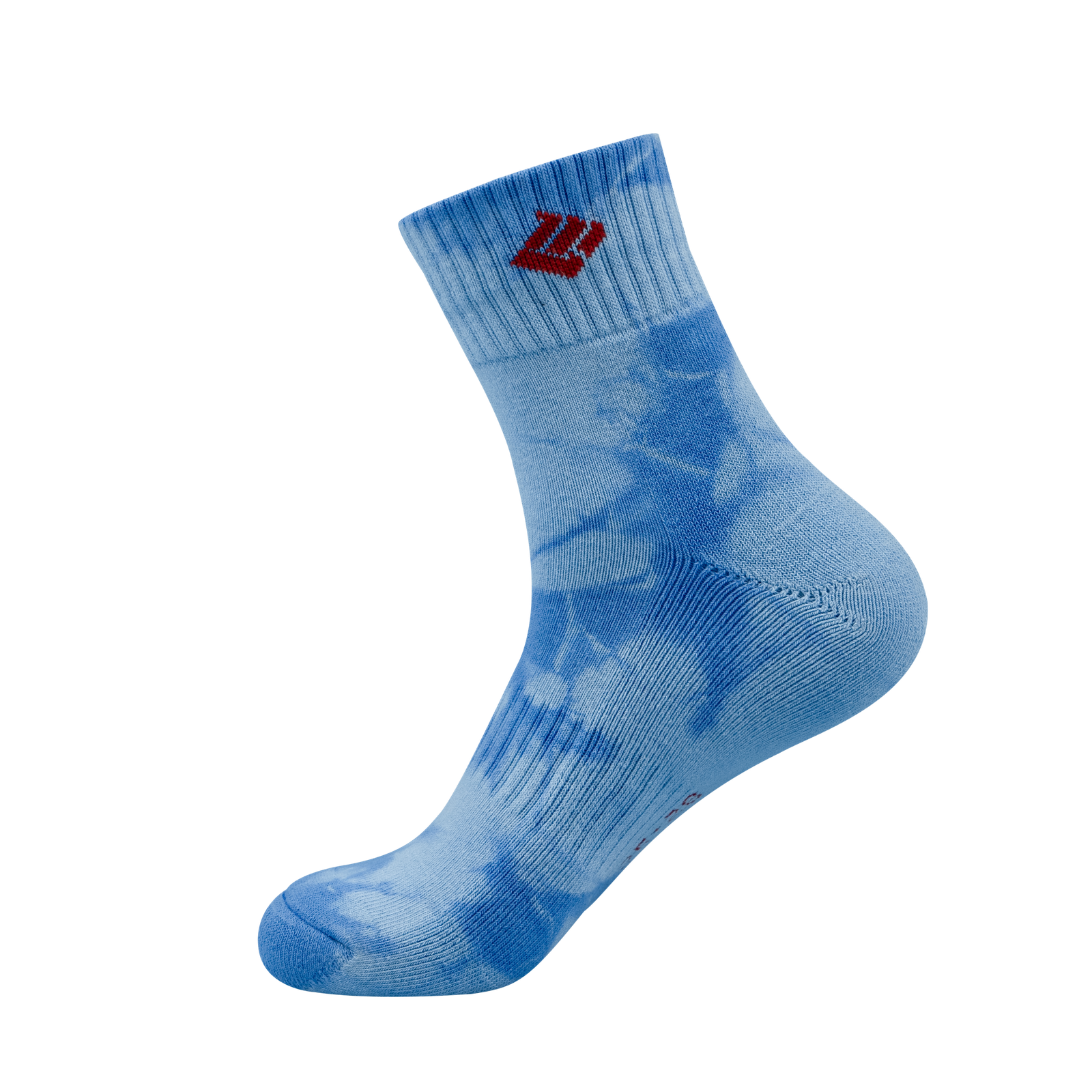 IMG_4626 AS 508 - Image 1