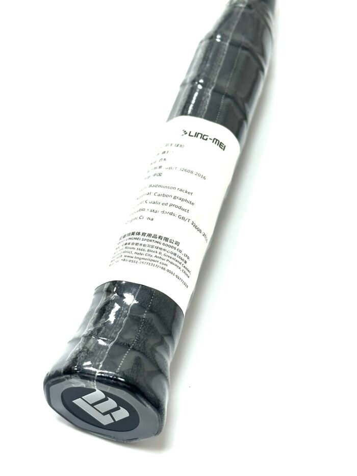 F 22 RAPTOR - Image 3