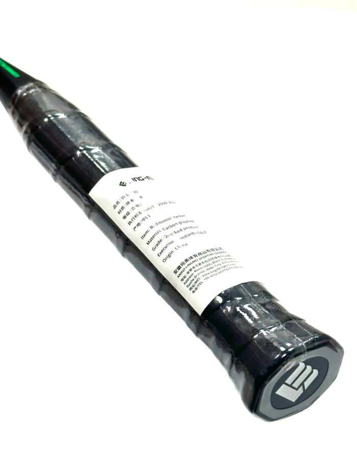 F 22 RAPTOR - Image 2