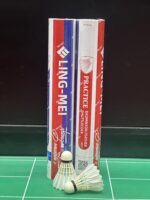 LM-PRACTICE - Image 2