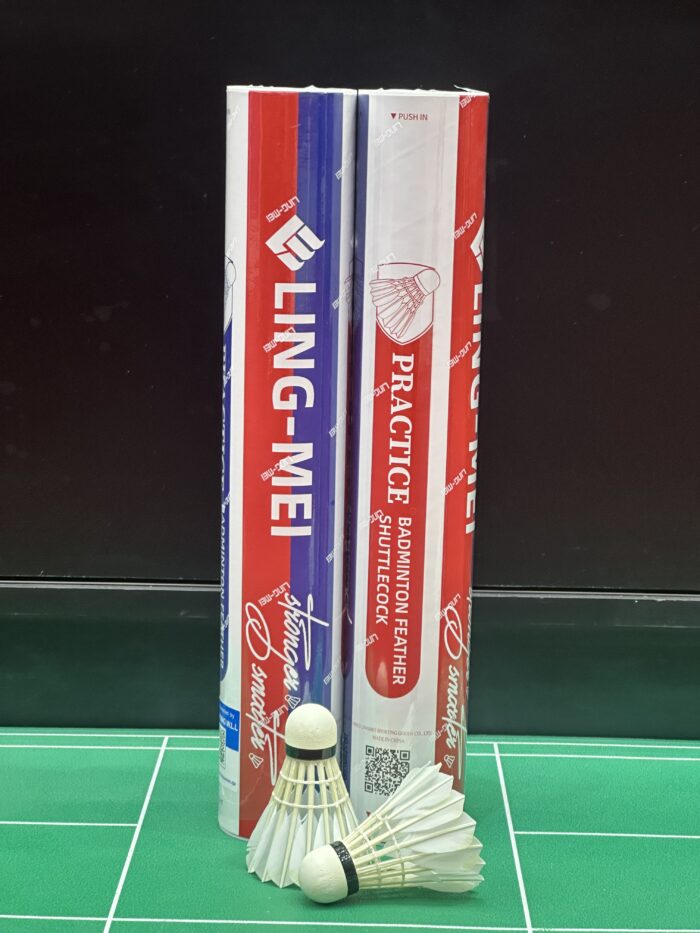 LM-PRACTICE - Image 2