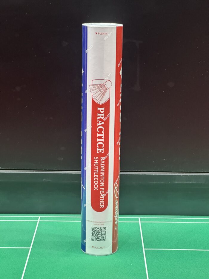 LM-PRACTICE - Image 3