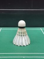 LM-PRACTICE - Image 6