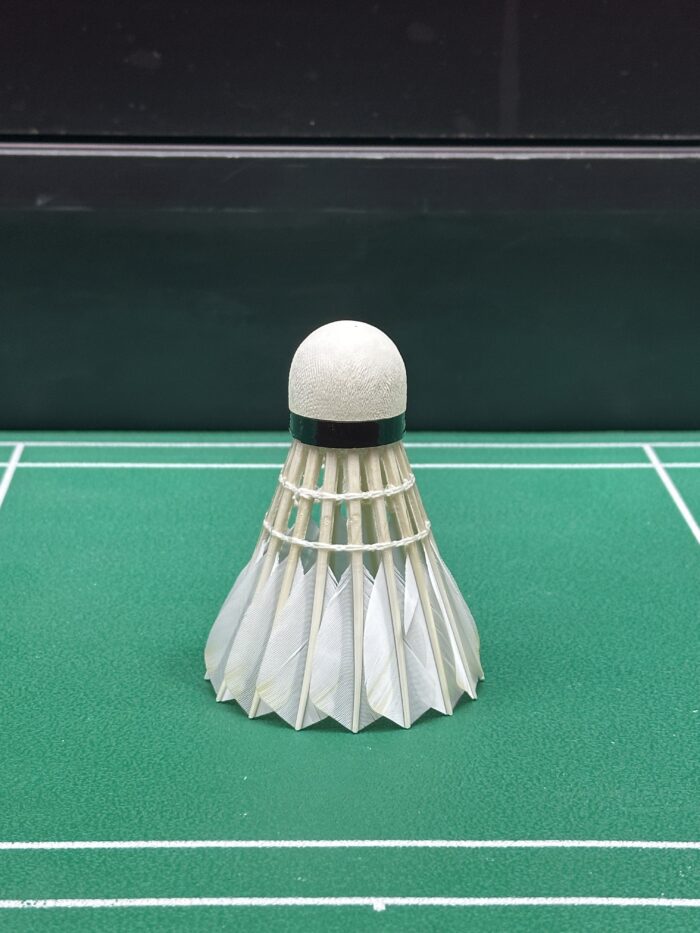 LM-PRACTICE - Image 6