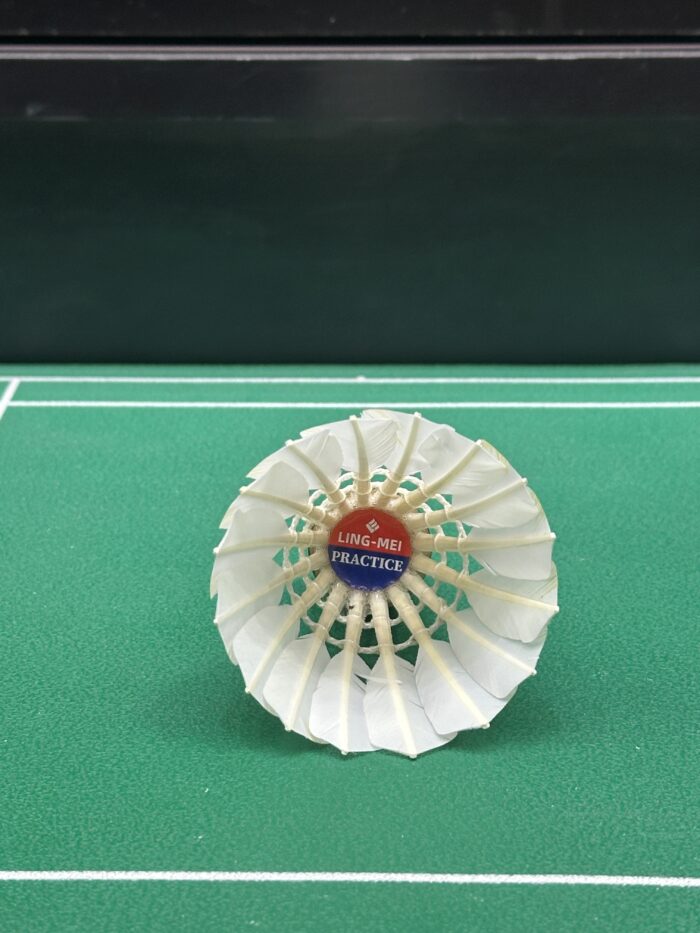 LM-PRACTICE - Image 5