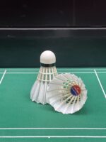 LM-PRACTICE - Image 4