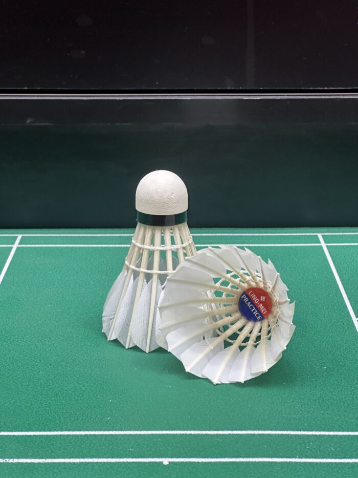 LM-PRACTICE - Image 4